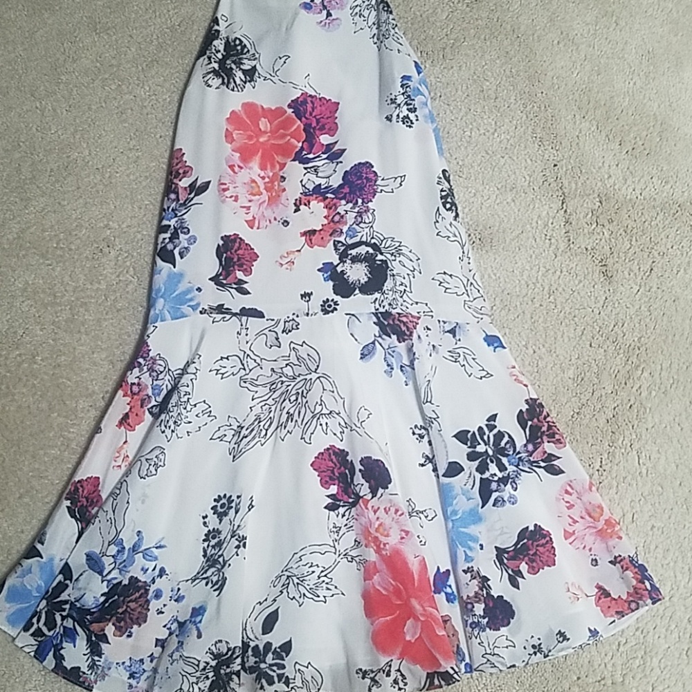 Floral dress ( NWT)